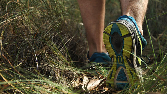 Close up of adult's sneakers walking through tall grass where ticks and mosquitoes hide